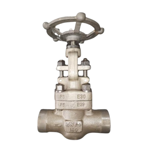 Alloy_Steel_Gate_Valve-removebg-preview.png
